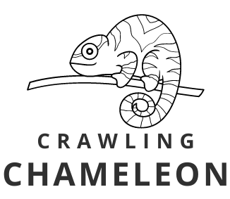 SEO, SMO, SMM and PPC guide- Crawling Chameleon